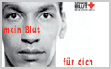 Blutspende-Termine