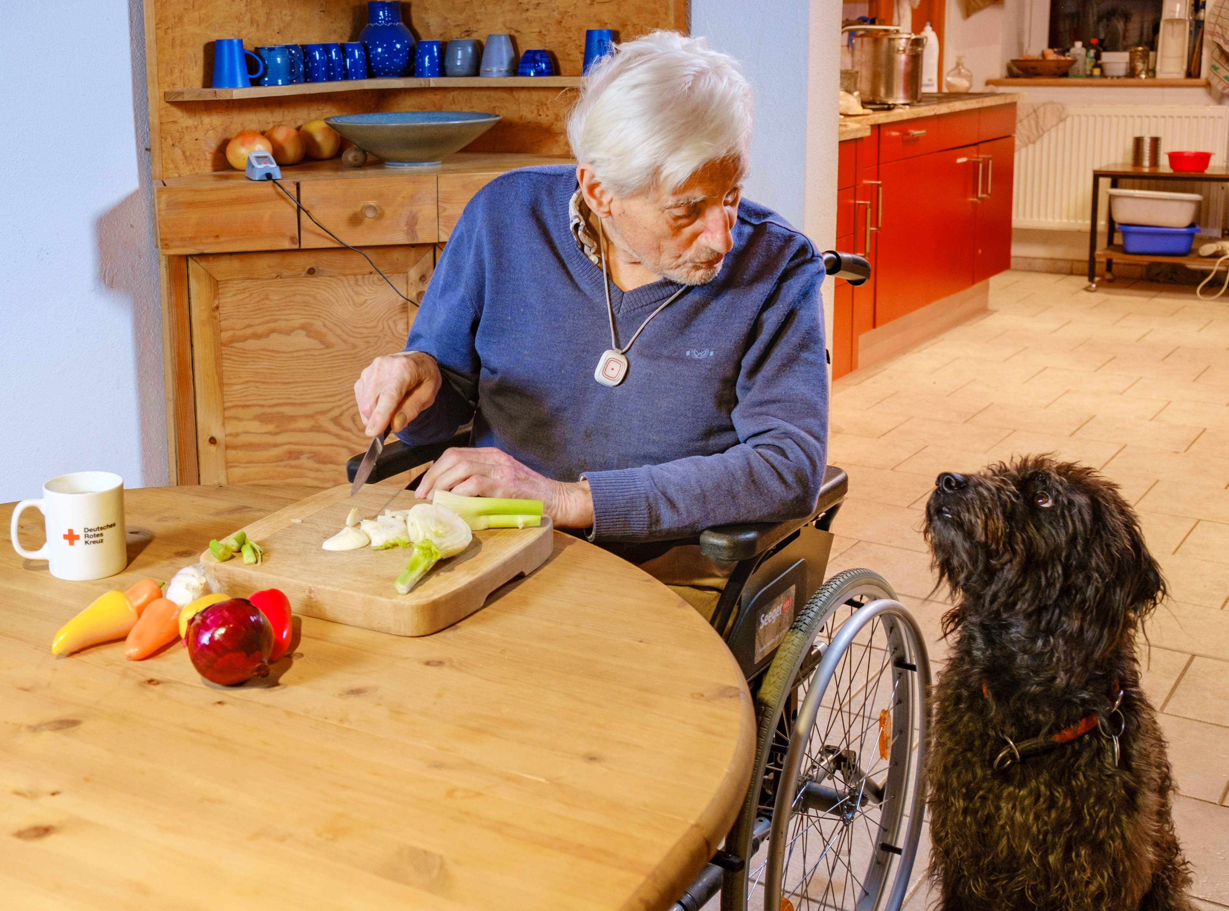 Das Bild zeigt einen Mann im Rollstuhl sitzend ind er Küche mit seinem Hund.it seinem 