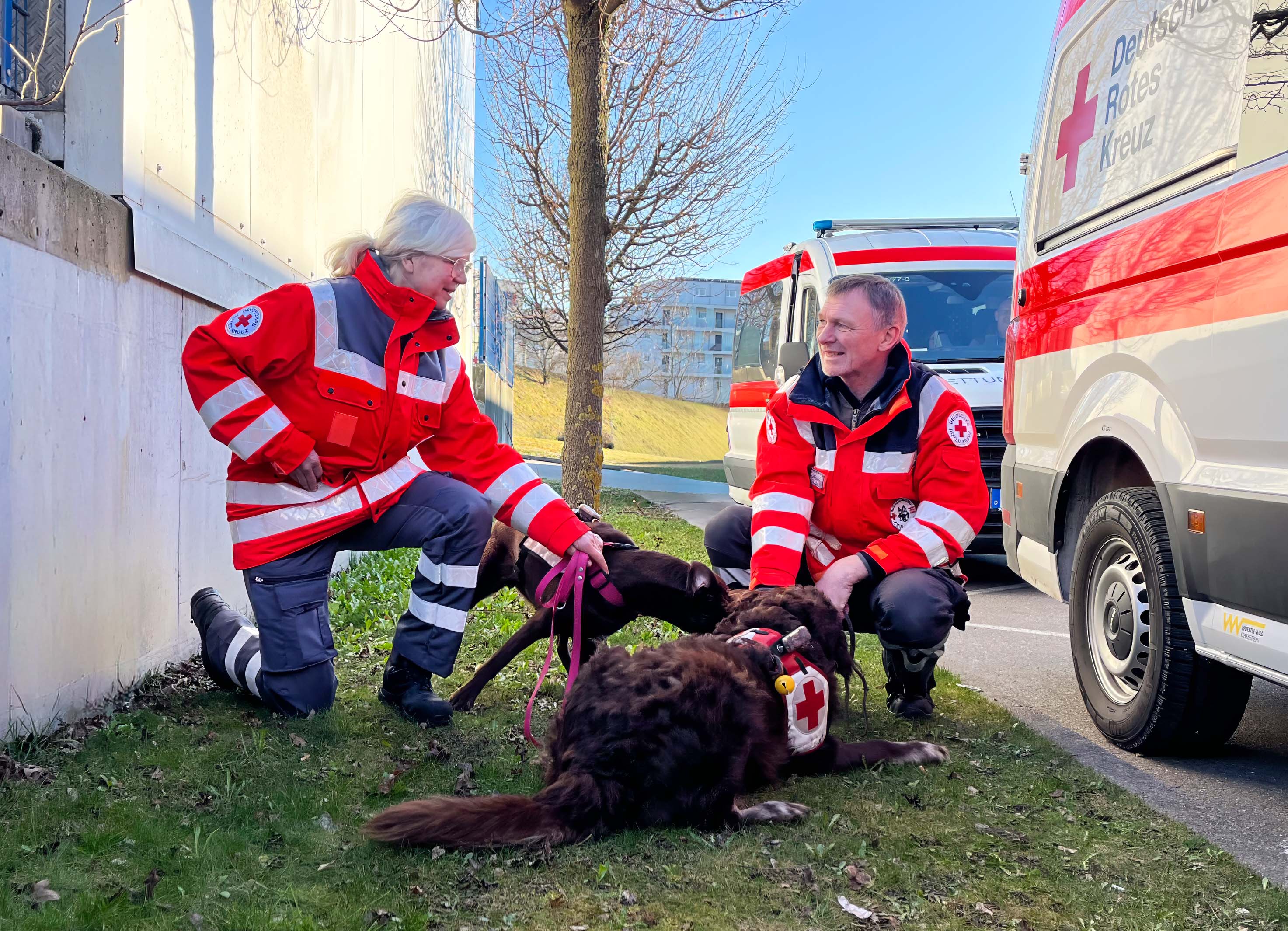 Das Bild zeigt Almuth und Frieder Schaefer mit zwei Hunden